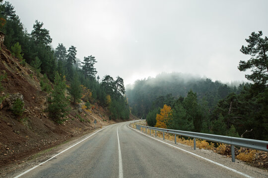 A misty mountain road winding through dense pine forest under soft, cloudy light. Calm autumn tones and atmospheric fog create a serene, cinematic scene. - Powered by Adobe