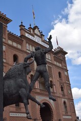 toro bravo en el campo