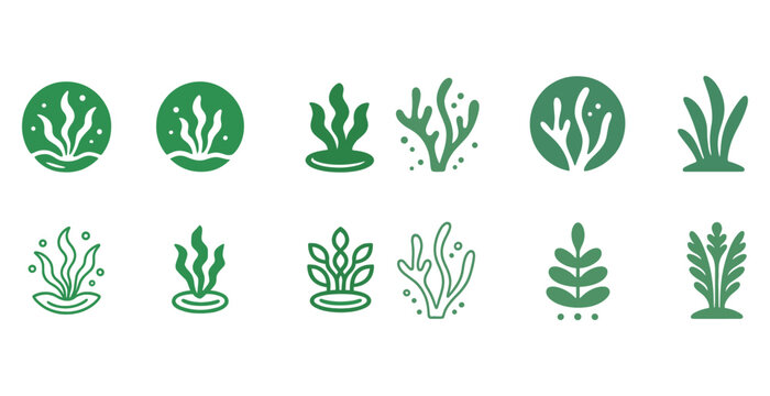 Set of green seaweed icons in various styles and designs