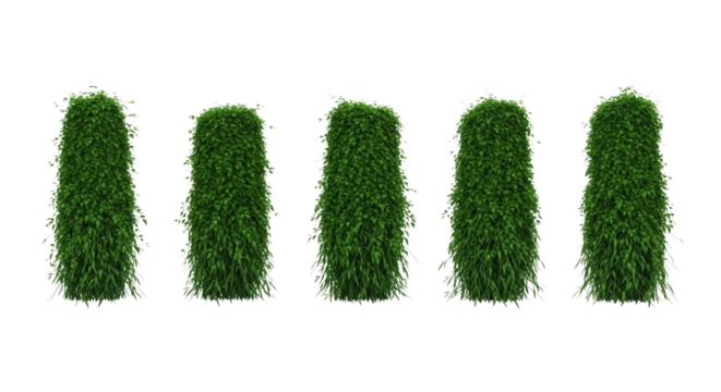 Lush green topiary plants offering garden design and landscaping inspiration