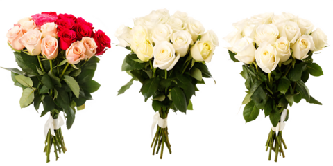 Three Bouquets of Roses in Pink Red and White with Green Leaves Keywords: rose, bouquet, flower isolated on a transparent background