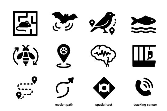 Animal Navigation Icons. Spatial navigation in animals. Solid icon set of Spatial navigation in animals: rat in maze, bat echolocation, bird migration path,
