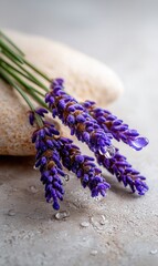 Lavender's Luminous Tears on a Stone Bed Creating a Serene, Artistic Macro Dream in the Early Morning Hours