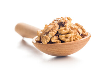 Peeled walnut kernels in wooden scoop isolated on white background.