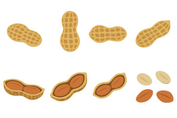 variety of peanuts Raw shelled peanuts of different shapes stand vertically isolated on white background.	