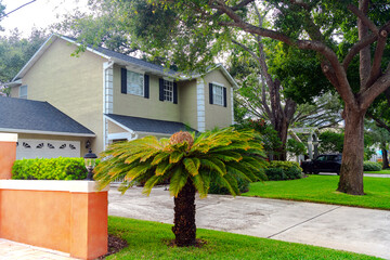 Suburban two-story home with tropical landscaping in Florida