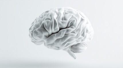 3d white brain on a white background
