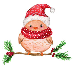 Grazioso uccellino su un ramo con bacche rosse, illustrazione ad acquerello isolata su sfondo bianco