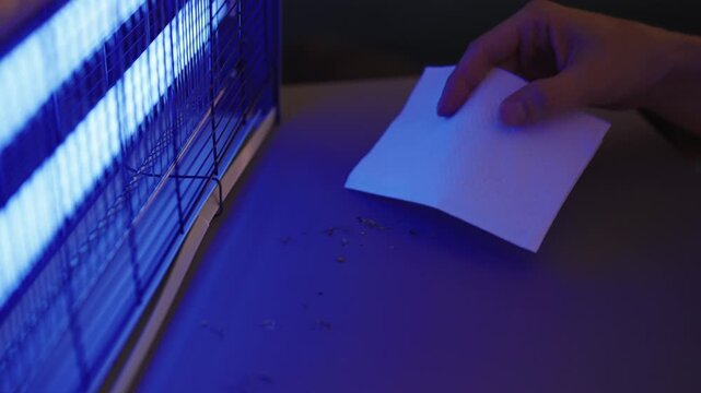 Person collecting dead insect debris from illuminated ultraviolet bulb and grid of electric bug zapper using piece of paper, performing routine cleaning and pest control maintenance, close-up, slowmo.