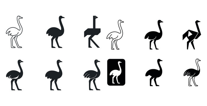 Stylized ostrich silhouettes: diverse artistic designs and geometric variations
