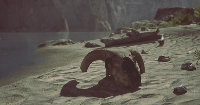 A large fossilized skull lies on a sandy beach near a peaceful river. Surrounding rocks and vegetation add a sense of mystery to the tranquil setting during the low light of dusk.