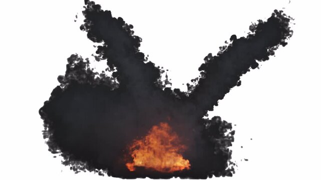 Double flamethrowers on transparent background

two intense streams of fire shooting diagonally upward in a V shape, forming a symmetrical fiery blast effect.

