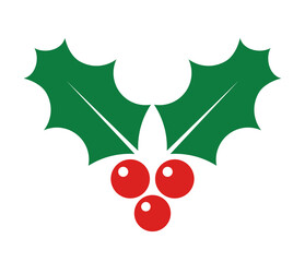 Christmas holly berries decoration design element on transparent background. PNG illustration.