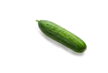 Single green mini cucumber on white background