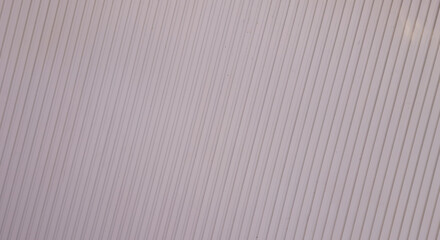 the background is a beautiful soft purple color.