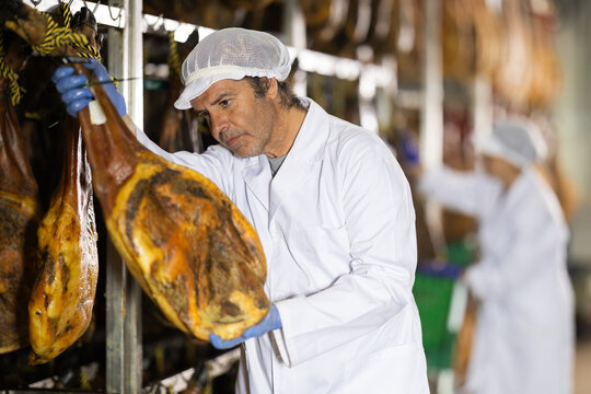 Worker in a white coat carefully checks the ham at the factory. Process of preparation high quality ham