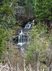 waterfall in the forest