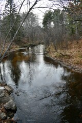 river in the forest