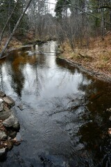 river in the forest