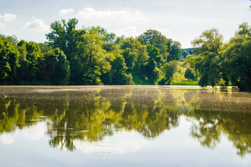 A peaceful summer river with soft reflections of lush green trees. Bright natural light, calm atmosphere, and a clean, harmonious landscape.