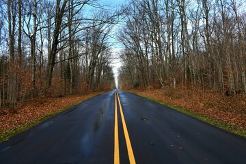 road in autumn