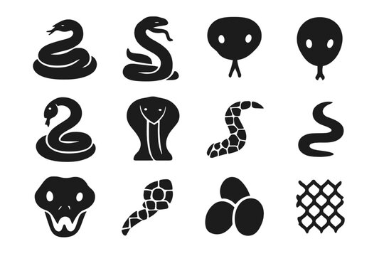 Snake Icon Set. Snake. Solid icon set of Snake: coiled snake, striking snake, snake head, tongue flick, rattlesnake, cobra hood, python pattern, viper fangs,