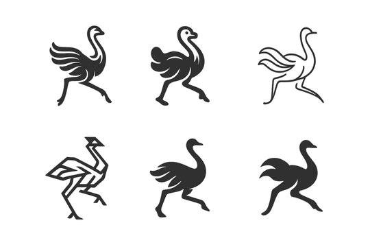 Ostrich Logo Variation. Ostriches. Icon set. Set Logo of ostriches: running ostrich in motion with flowing feathers. harmonious logo variations of the same