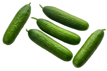 Five green mini cucumbers on white background