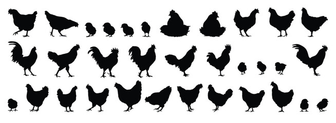 hen or chicken, rooster and chicks silhouette set. hen, rooster and chicks isolated farm animal silhouette icon vector collection