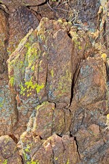 Jagged rocks covered in Yellow Paint Lichen, Pleopsidium oxytonum, and white Desert Brain Lichen, Psora cerebriformis, Arizona.