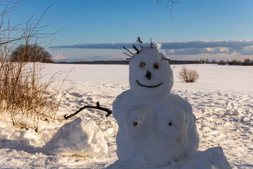 Smiling Snowwoman in Winter Landscape Under Blue Sky