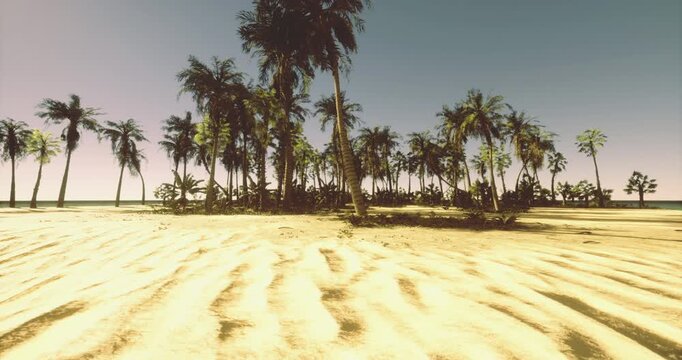 Golden sunlight casts a warm glow over a tranquil beach lined with palm trees. Soft sand patterns create a peaceful atmosphere, inviting relaxation and reflection.