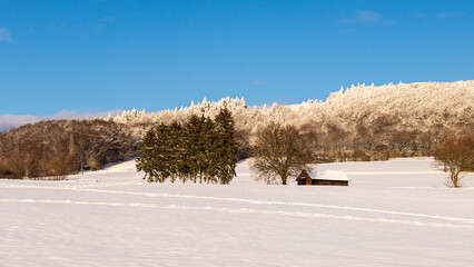 Snowy Meadow with Cabin and Frosted Trees in Rh&ouml;n Mountains, Germany