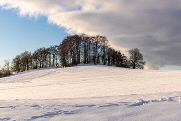 Winter Landscape with Bare Trees on Snowy Hill in Rh&ouml;n Mountains.