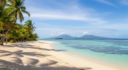 Fototapeta premium tropical beach with palm trees