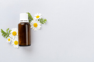 Fresh chamomiles with medicines on color background, top view