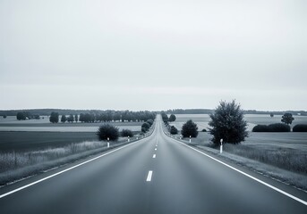 Monochromatic journey, atmospheric road with symmetrical tree alignment