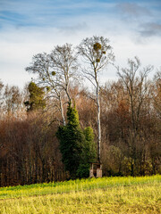 Obraz premium Hoch und Jägersitz am Waldrand im Herbst