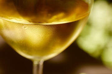 A glass of Italian white wine
