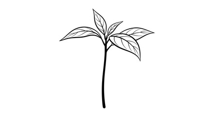 Simple black and white line drawing of a young plant with a stem and several leaves, illustrating growth and nature.