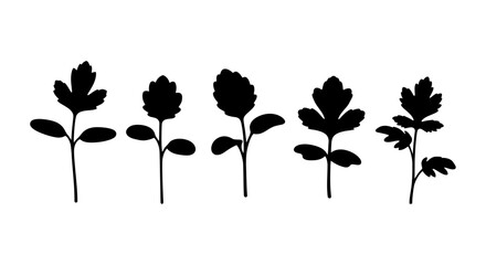 Fototapeta premium A collection of five black silhouettes of young plants, each with a stem and leaves, showcasing different stages of growth and leaf shapes.