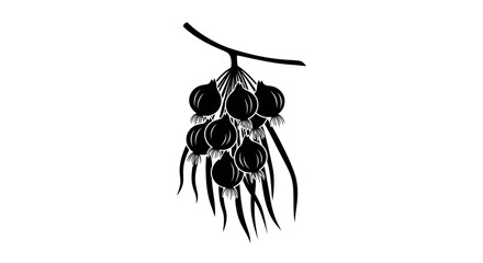 A black and white graphic illustration of a cluster of dark berries hanging from a small branch with slender leaves.