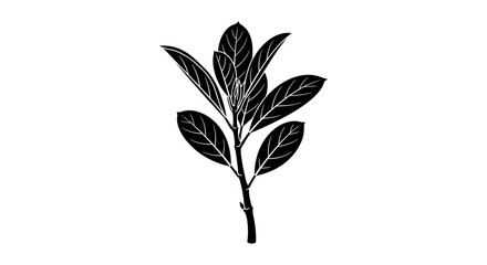 A black silhouette illustration of a plant branch with leaves on a white background.