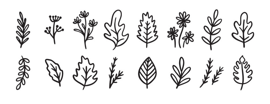 autumn or summer leaves doodle sketch icon set. forest leaf design elements set in vintage retro line style