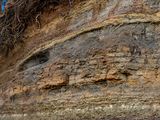 Erosion an einer felsigen Böschung im Spätherbst