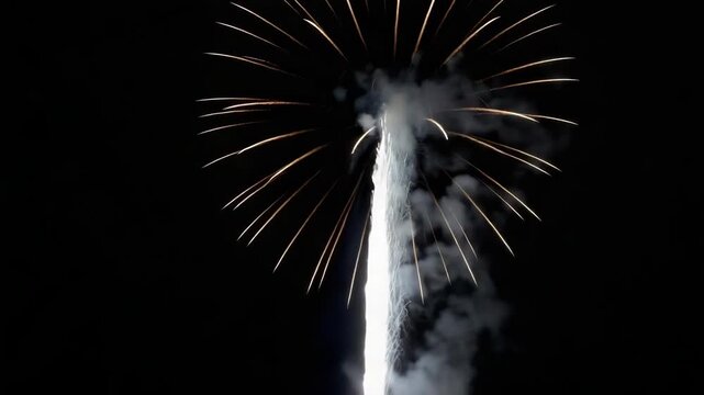 Brilliant Skyrocket Firework Explosion Illuminating Dark Night Sky