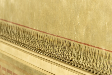 Anti Bird Spikes on Building Ledge - Pest Control Deterrent System Urban Architecture