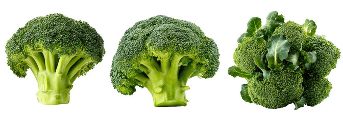 Three heads of fresh broccoli, isolated on black