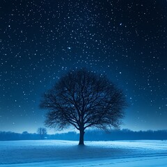Snowy Night Bare Tree Silhouette Under Meteor Shower, Winter ,Landscape   high resolution   for isolate image