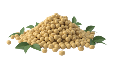 Pile of soybeans with leaves, a healthy and nutritious ingredient for balanced diets and vegetarian recipes